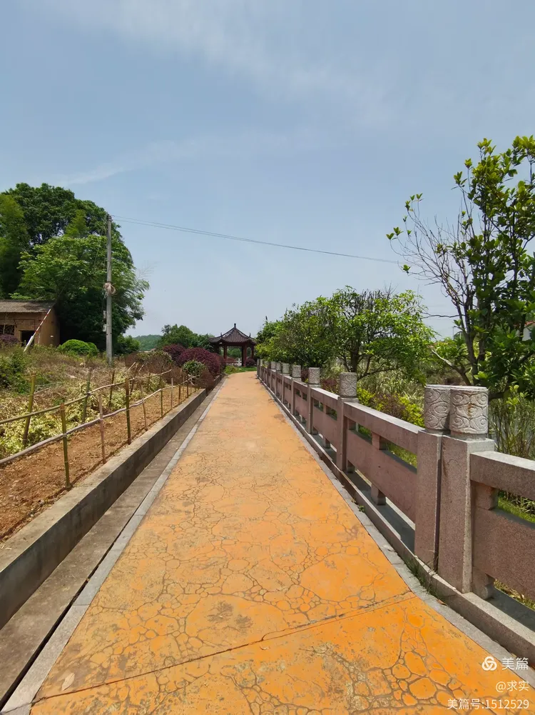 长沙•跳马镇大安寺